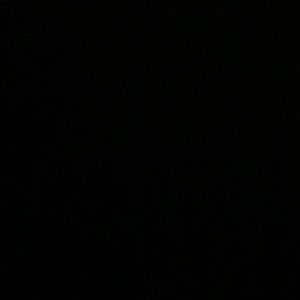 Meet your Posher, Brock